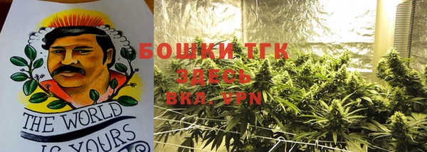 спайс Алзамай